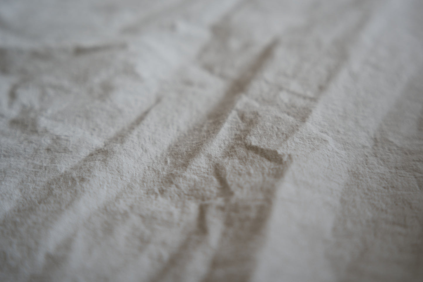 高密度タイプライターコットンシャツ/ Typewriter cotton shirts/Light Gray