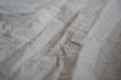 高密度タイプライターコットンシャツ/ Typewriter cotton shirts/Light Gray