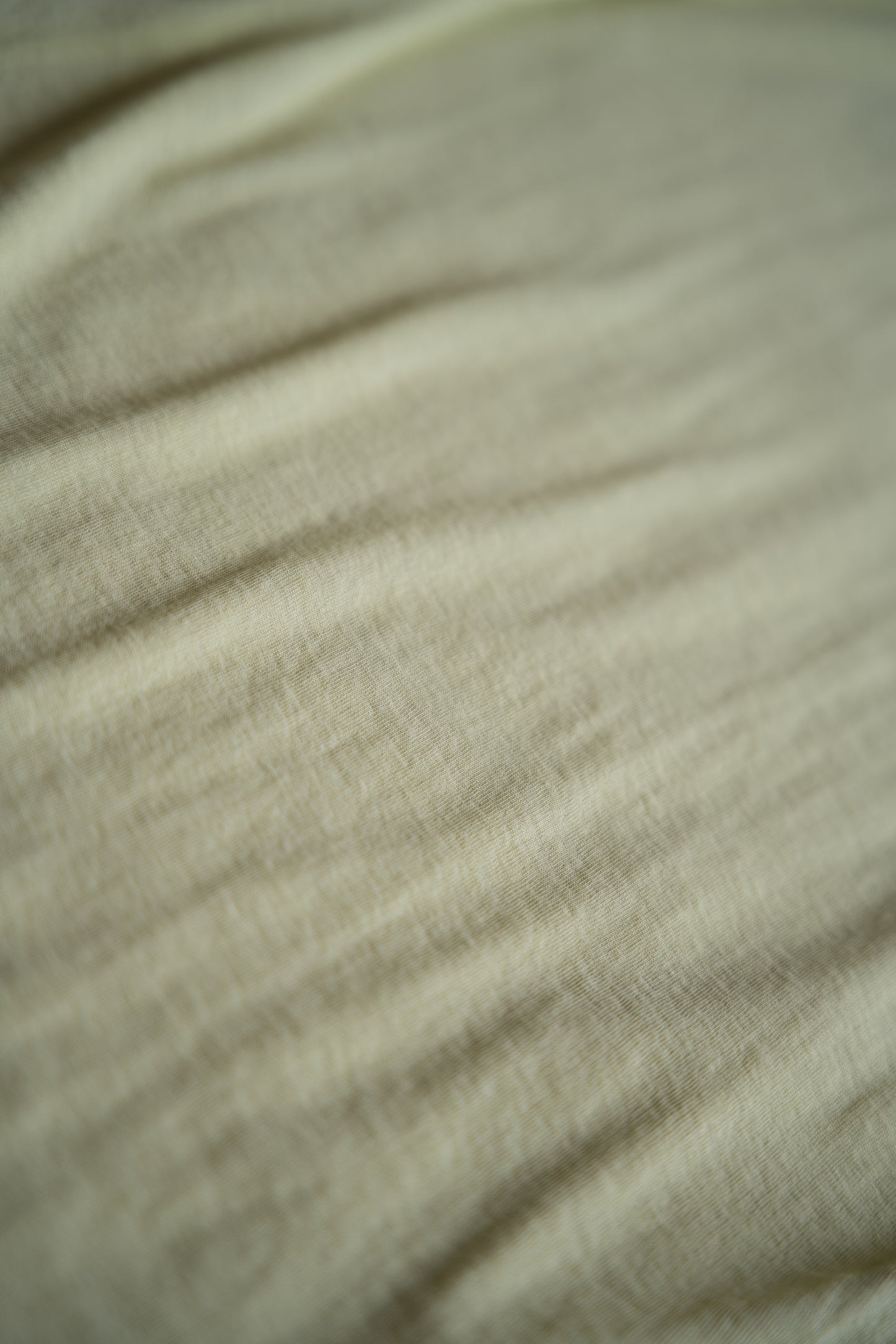 Sheer Rib High-Necked Long-Sleeved T/Lime Yellow