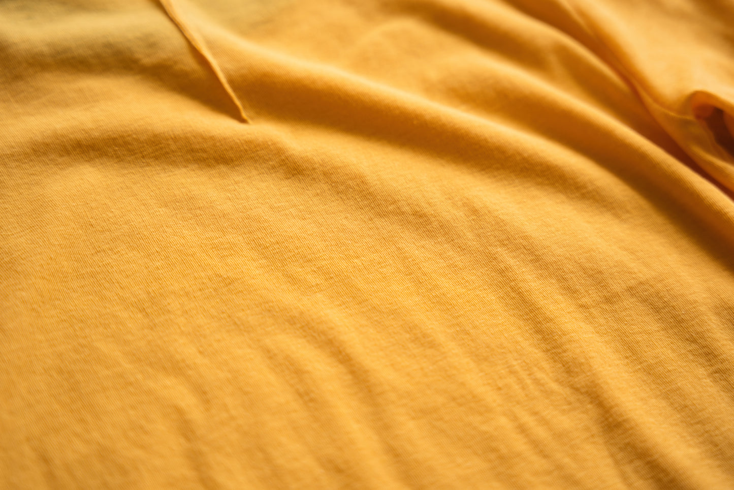 Sheer Rib RInger Half Sleeve/Orange(Navy)