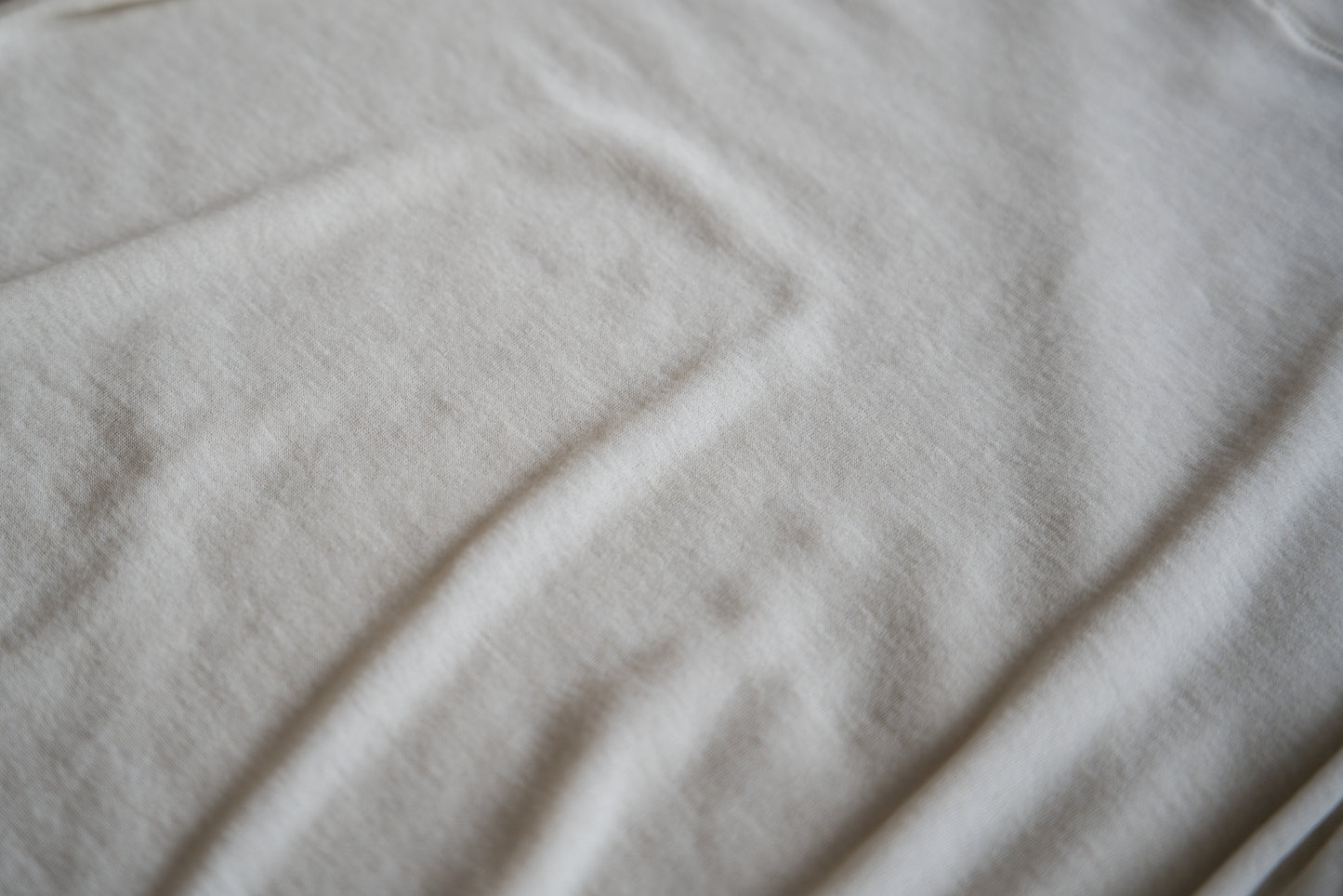 シアーリブクルーロングT/Sheer Rib Crewneck Long-Sleeved T/White Chalk