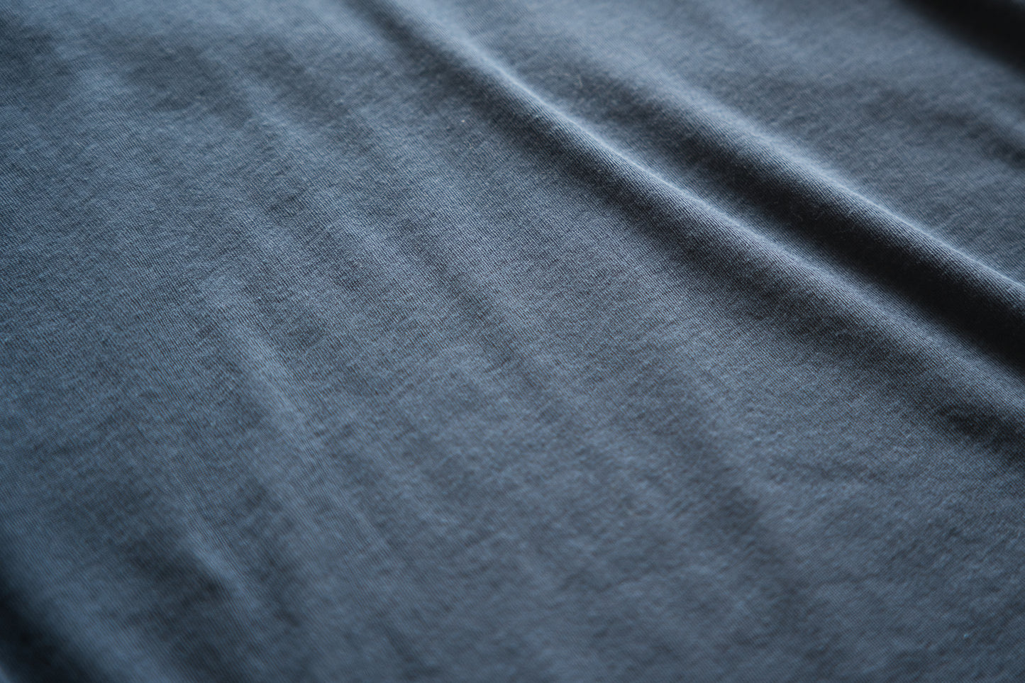 シアーリブクルーロングT/Sheer Rib Crewneck Long-Sleeved T/Gray Navy