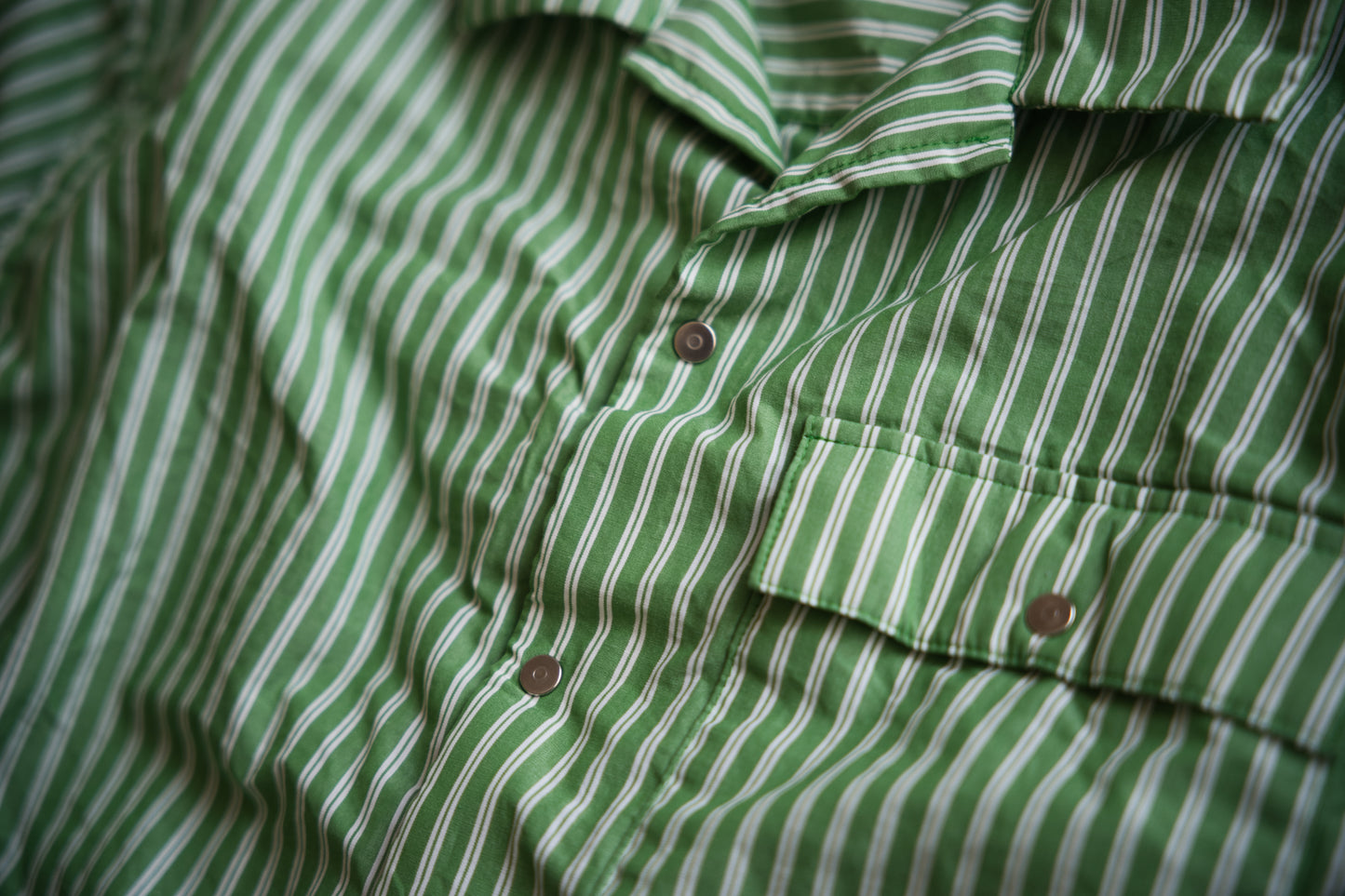 GIZA/SUPIMA開襟シャツ / GIZA/SUPIMA Open-collared Shirt / Green Stripe