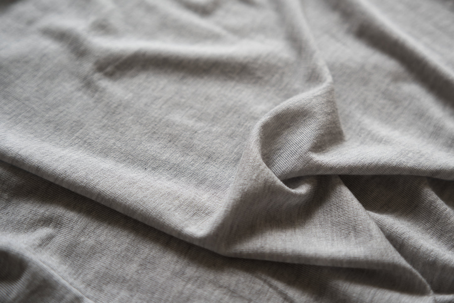 カシミアシルク テンセルTシャツ / Cashmere Silk Tencel T-shirt / Light Gray