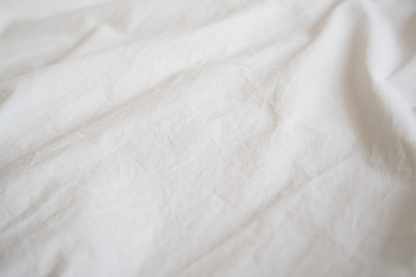 100番手タイプライターTシャツ/Superfine cotton T-shirt/Off-white